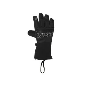 CRIVIT Dámske/Pánske lyžiarske rukavice (7, čierna/strieborná)